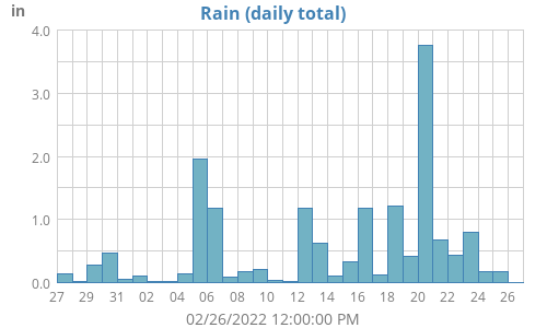Rain