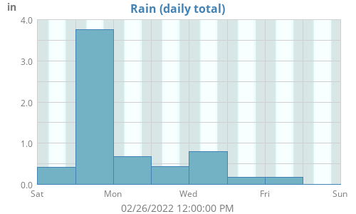 Rain